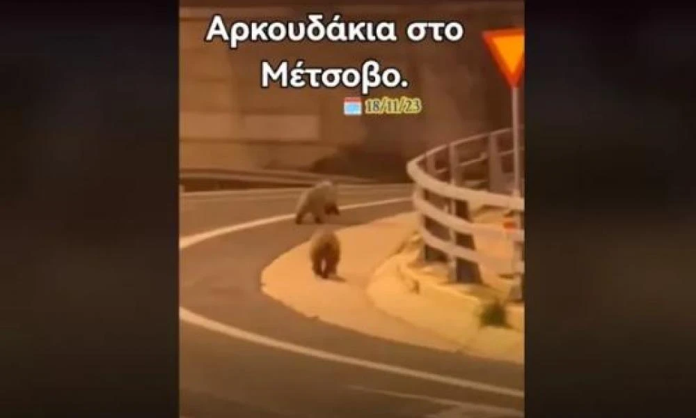 Μέτσοβο: Αρκουδάκια «έκοβαν βόλτες» στην Εγνατία Οδό (Βίντεο)